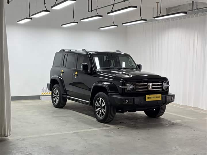 Фото 4 - Tank 300