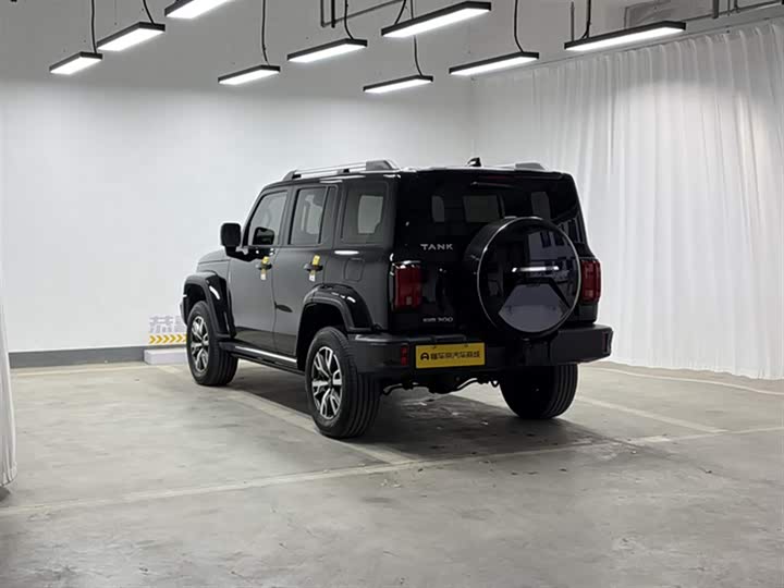 Фото 6 - Tank 300