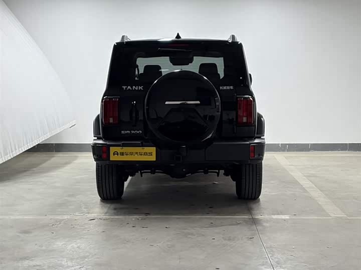 Фото 7 - Tank 300