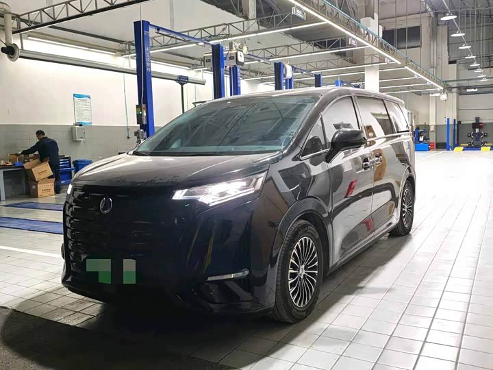 Фото 1 - Denza D9