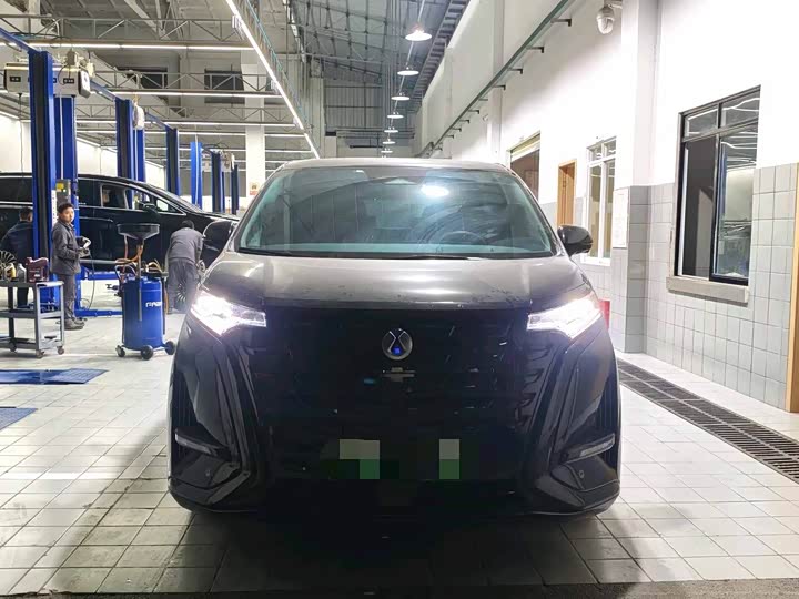 Фото 2 - Denza D9