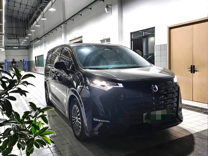 Фото 3 - Denza D9