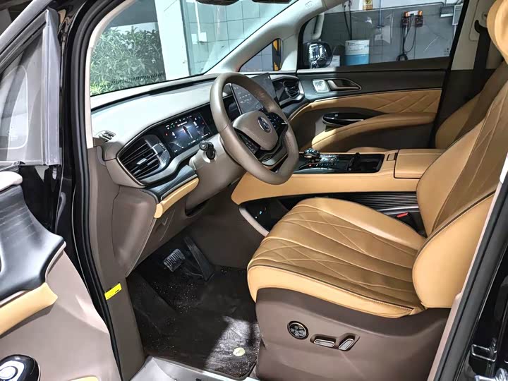 Фото 4 - Denza D9