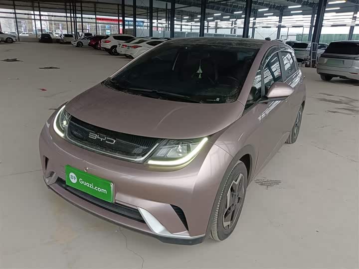 Фото 2 - BYD Dolphin