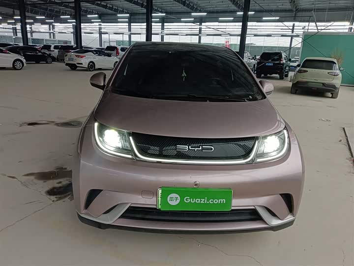 Фото 3 - BYD Dolphin