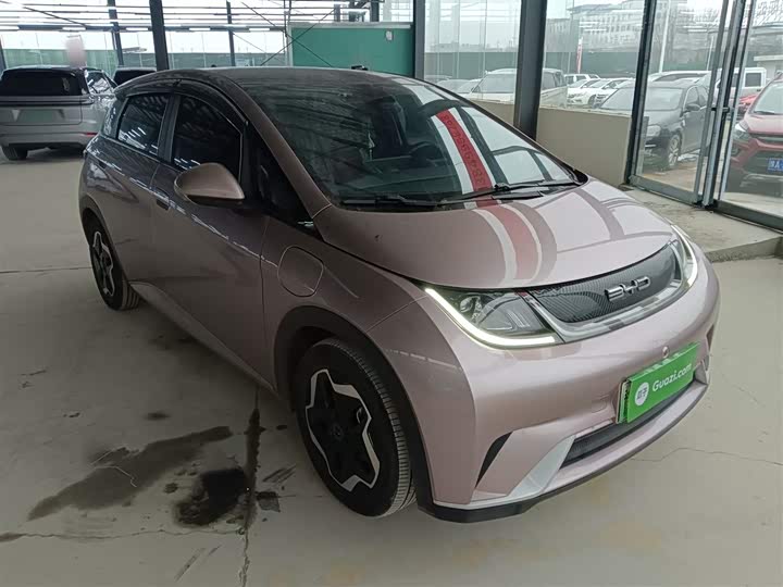 Фото 4 - BYD Dolphin