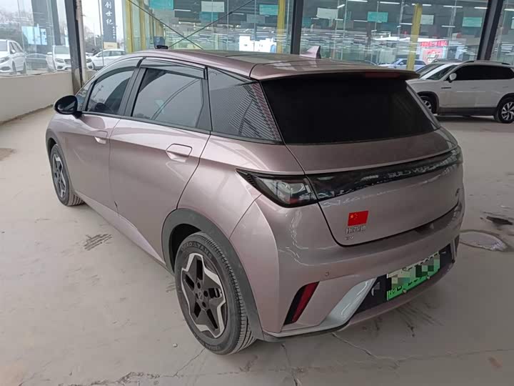 Фото 5 - BYD Dolphin