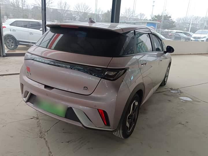 Фото 7 - BYD Dolphin