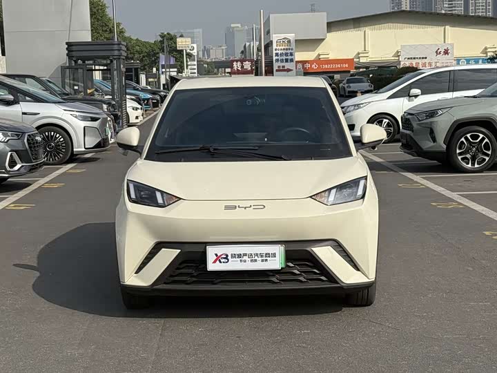 Фото 2 - BYD Seagull