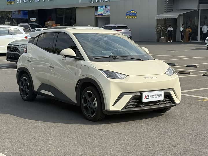 Фото 3 - BYD Seagull