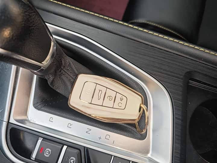 Фото 9 - Geely Binrui