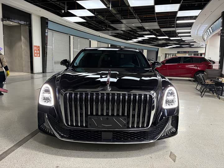 Фото 2 - Hongqi L1 (Guoya)