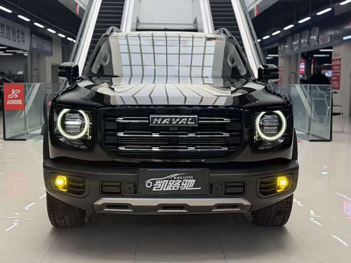 Фото 2 - Haval Dargo