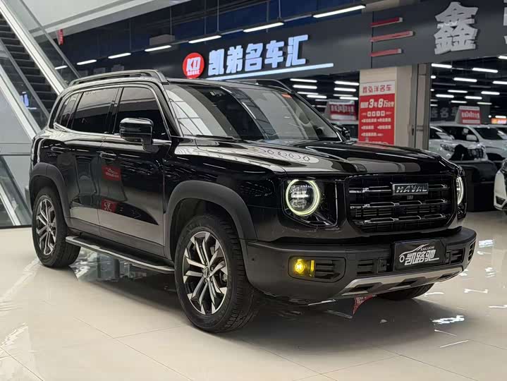 Фото 3 - Haval Dargo