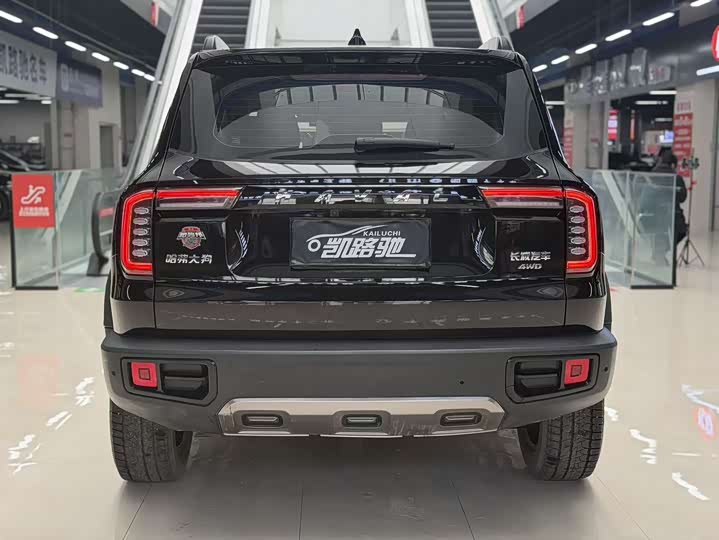 Фото 8 - Haval Dargo