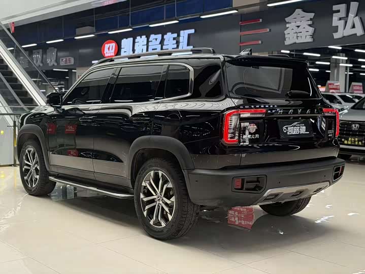 Фото 9 - Haval Dargo