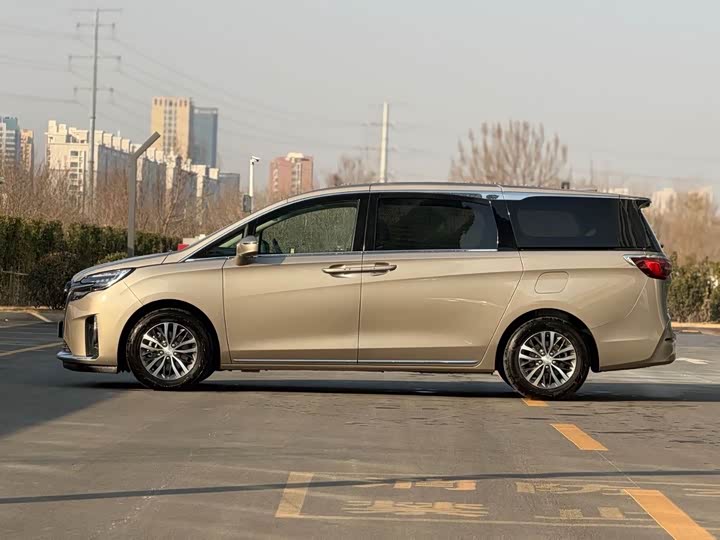 Фото 4 - Buick GL8 ES