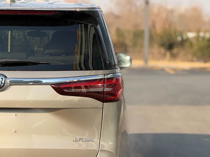 Фото 7 - Buick GL8 ES