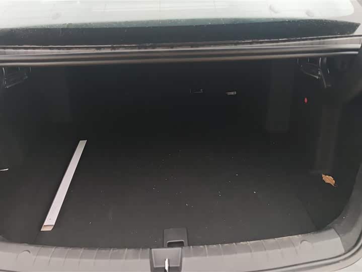 Фото 4 - BYD Qin Plus