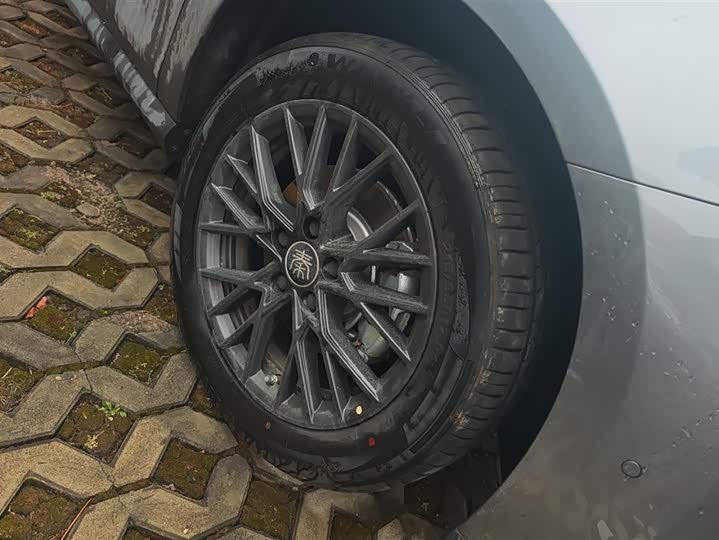 Фото 6 - BYD Qin Plus