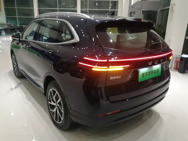 Фото 5 - Wey Mocca Hybrid