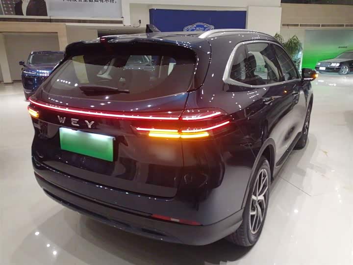 Фото 7 - Wey Mocca Hybrid