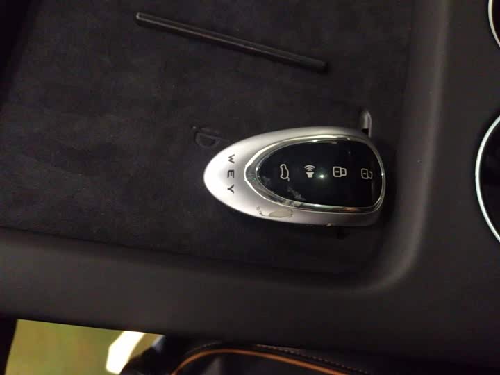 Фото 9 - Wey Mocca Hybrid