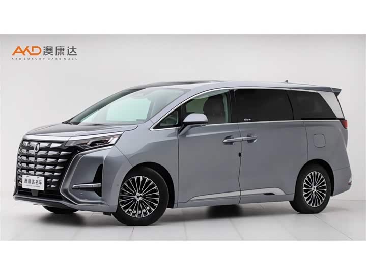 Фото 1 - Denza D9