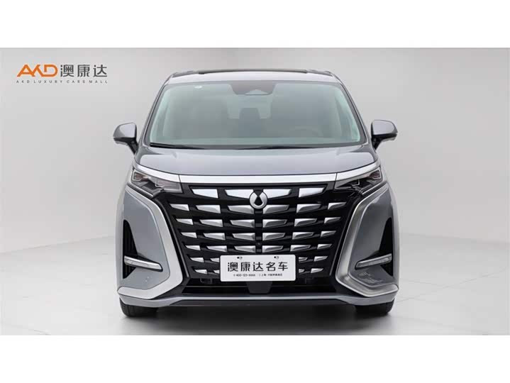 Фото 2 - Denza D9