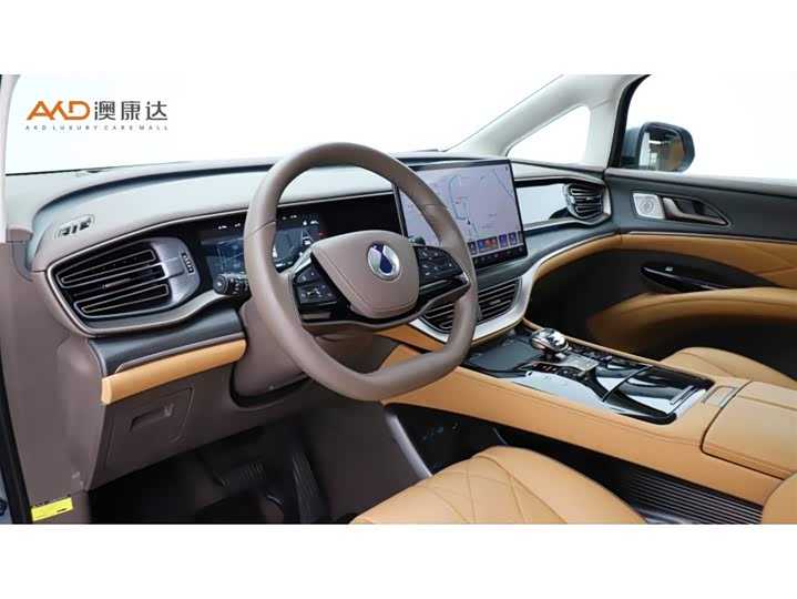 Фото 6 - Denza D9