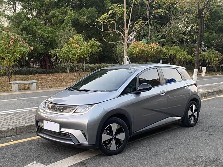 Фото 1 - BYD Dolphin