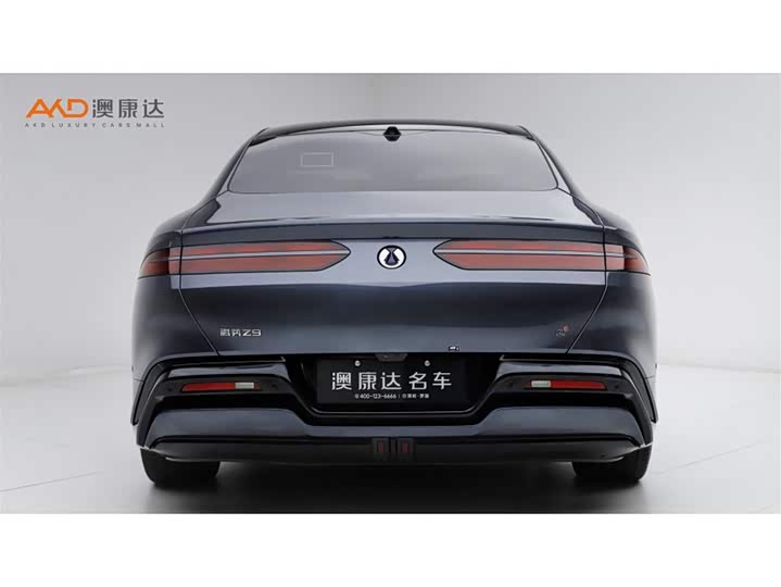 Фото 4 - Denza Z9