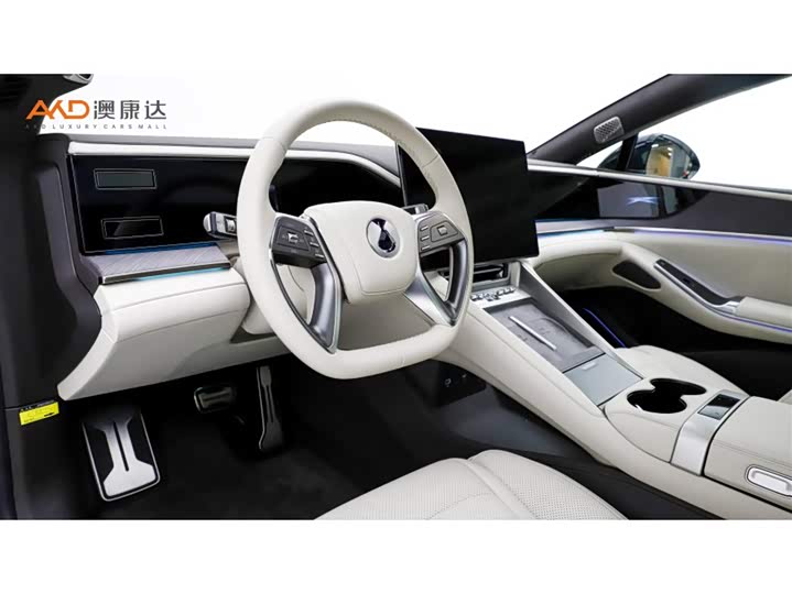 Фото 6 - Denza Z9