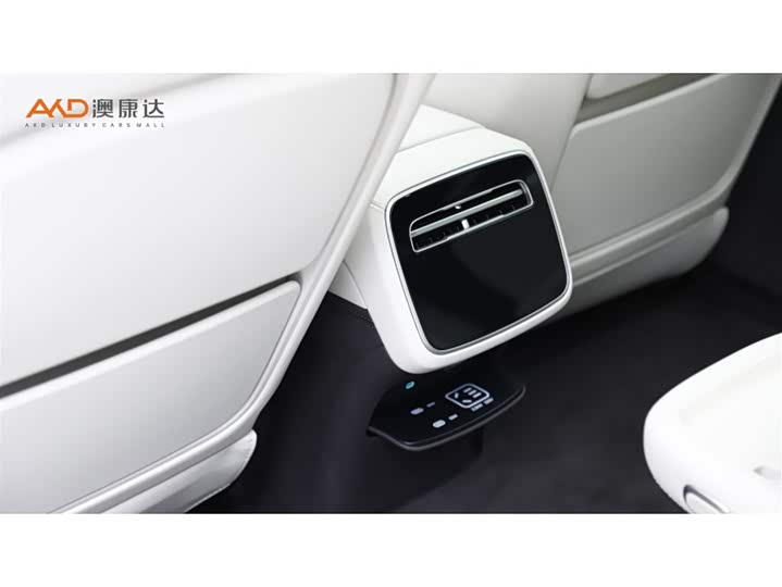 Фото 9 - Denza Z9