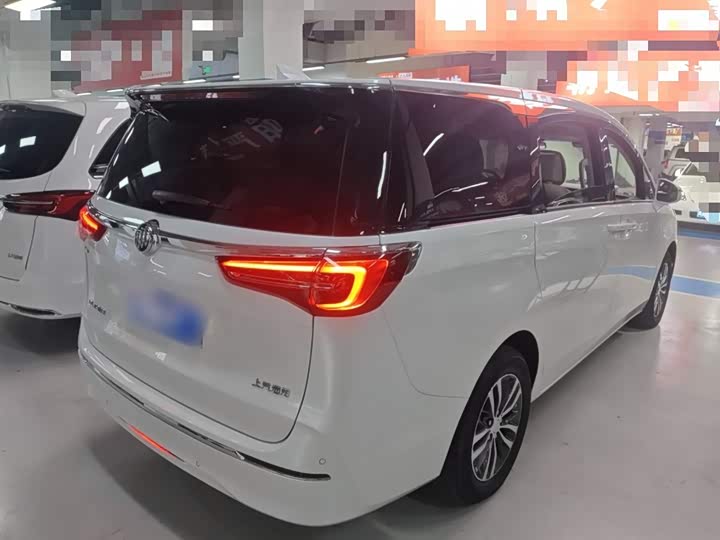 Фото 7 - Buick GL8 ES