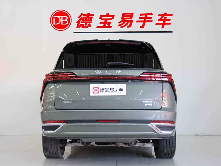 Фото 5 - Wey Lanshan