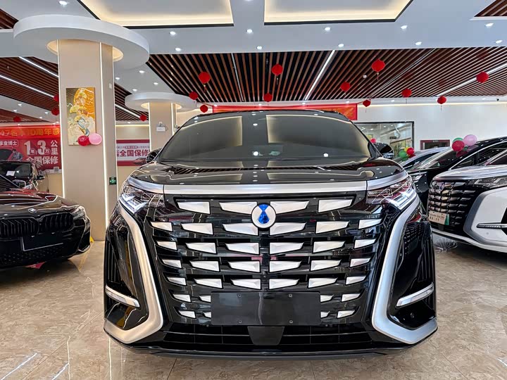 Фото 2 - Denza D9