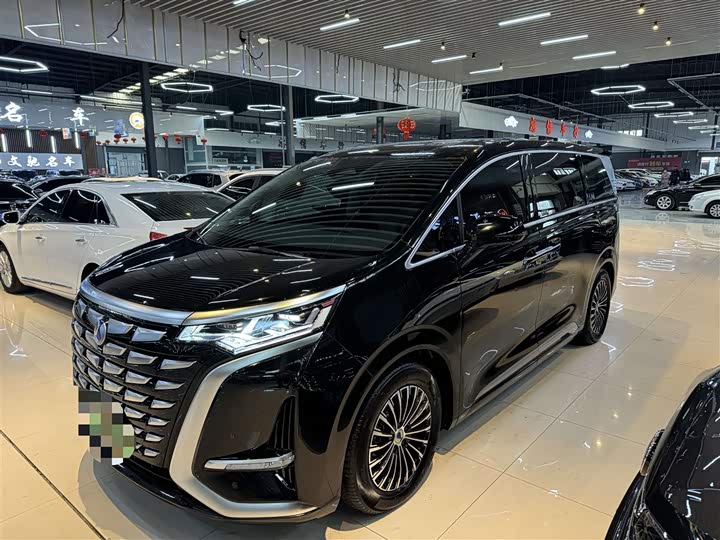 Фото 1 - Denza D9