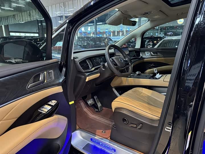 Фото 5 - Denza D9