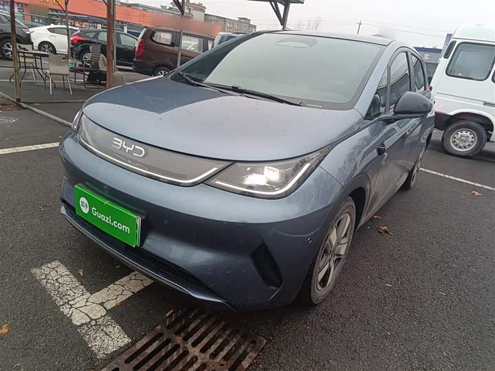 Фото 2 - BYD Dolphin