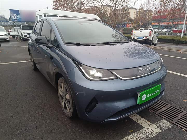 Фото 4 - BYD Dolphin