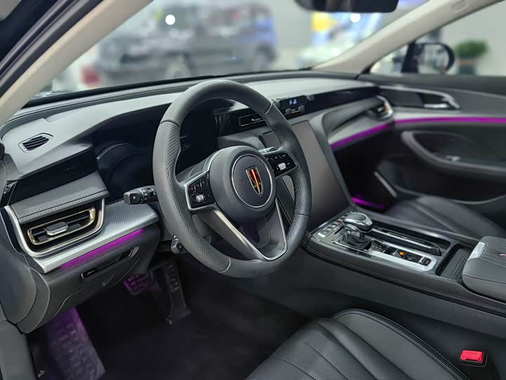 Фото 3 - Hongqi H5