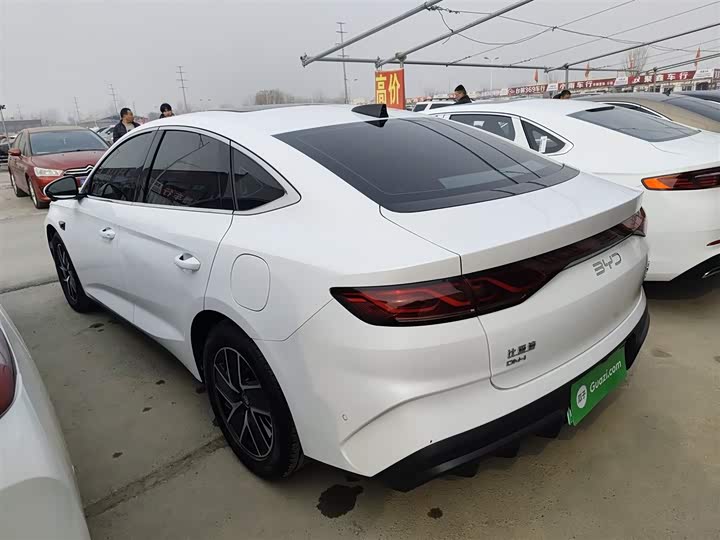 Фото 5 - BYD Qin L