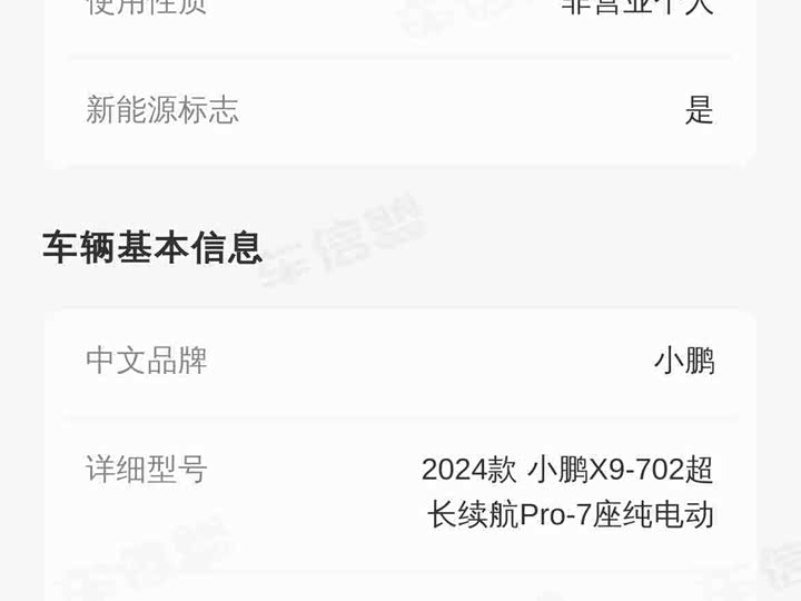 Фото 9 - XPeng X9