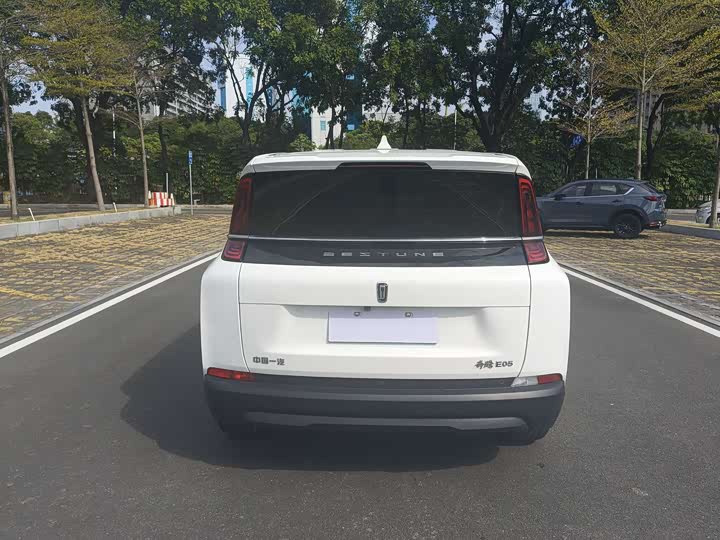 Фото 5 - Bestune NAT