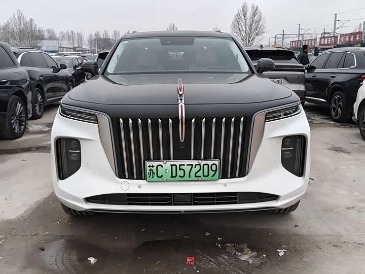 Фото 2 - Hongqi E-HS9