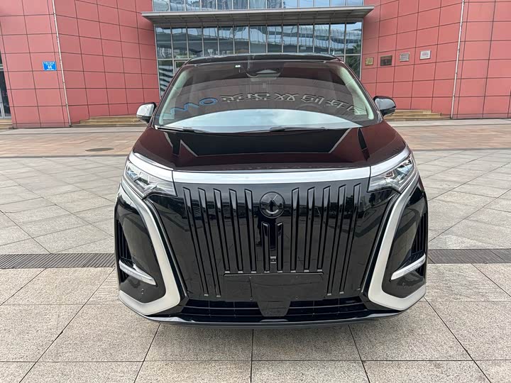 Фото 2 - Denza D9