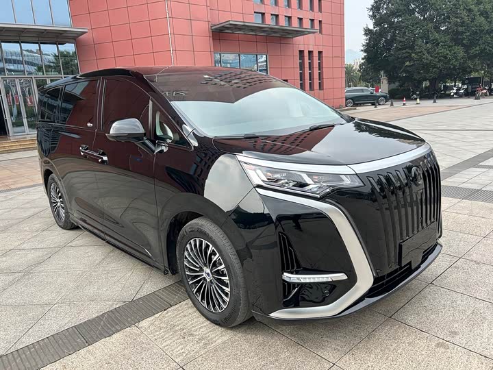 Фото 3 - Denza D9