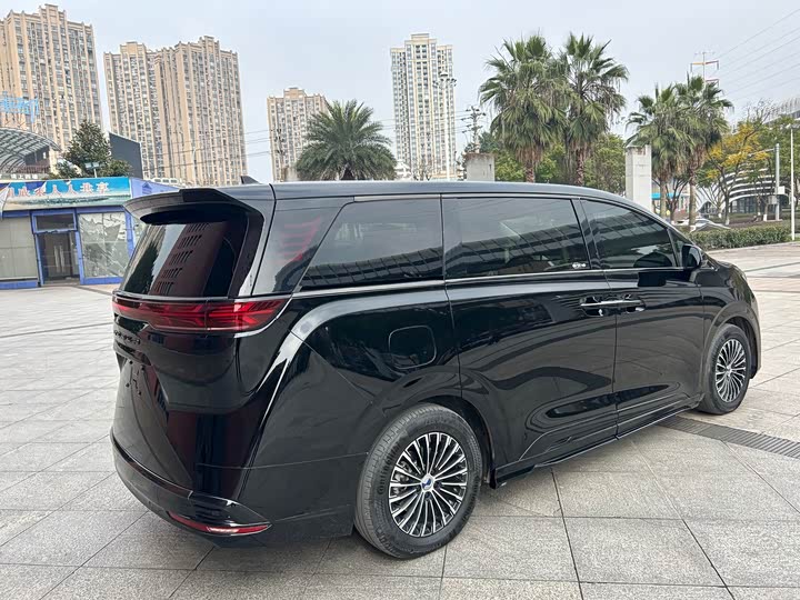 Фото 5 - Denza D9