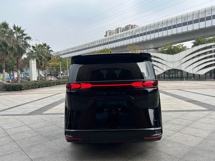 Фото 6 - Denza D9